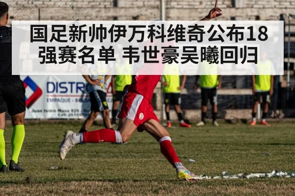 国足新帅伊万科维奇公布18强赛名单 韦世豪吴曦回归