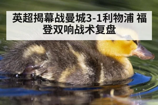 英超揭幕战曼城3-1利物浦 福登双响战术复盘