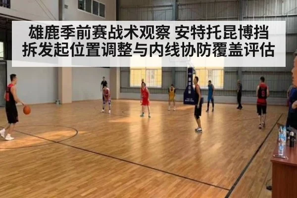 雄鹿季前赛战术观察 安特托昆博挡拆发起位置调整与内线协防覆盖评估